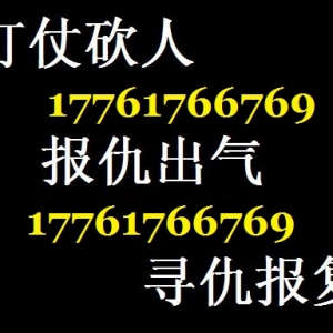 帮忙解决各种私人恩怨17761766769
