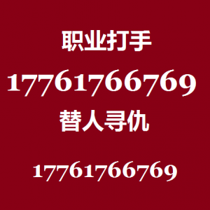 怎样找社会上混混打人出气17761766769