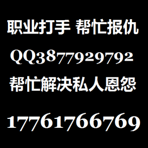 打手帮忙报复别人教训情敌17761766769
