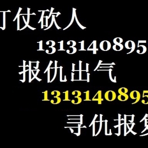 雇打手杀手打架报复毁容残废13131408957